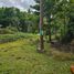  Land for sale in Corella, Bohol, Corella