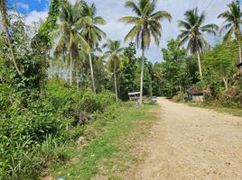  Land for sale in Corella, Bohol, Corella