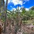  Land for sale in Malacatos Valladolid, Loja, Malacatos Valladolid, Loja, Loja