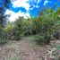  Land for sale in Malacatos Valladolid, Loja, Malacatos Valladolid, Loja, Loja