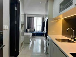 1 Phòng ngủ Chung cư for rent in Phường 12, TP.Hồ Chí Minh, Phường 12