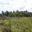  Terreno (Parcela) en venta en Palawan, Mimaropa, Palawan