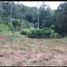  Land for sale in Tolima, Ibague, Tolima