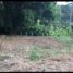  Land for sale in Tolima, Ibague, Tolima