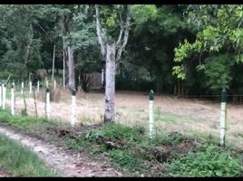  Terreno (Parcela) en venta en Tolima, Ibague, Tolima