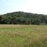  Land for sale in Tierra Nueva, San Luis Potosi, Tierra Nueva, San Luis Potosi