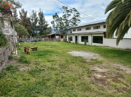  Casa en venta en Imbabura, Otavalo, Otavalo, Imbabura