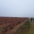  Land for sale in San Clemente, Maule, San Clemente, Talca