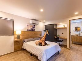 1 Schlafzimmer Appartement zu vermieten in Monterrey, Nuevo Leon, Monterrey, Nuevo Leon, Mexiko