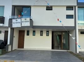 Maison 3 chambre à vendre à Zapopan, Jalisco, Zapopan