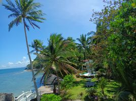 15 Schlafzimmer Hotel / Resort zu verkaufen in Oriental Mindoro, Mimaropa, Puerto Galera