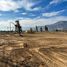  Terreno (Parcela) en venta en Melipilla, Santiago, Curacavi, Melipilla