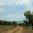 Terreno (Parcela) en venta en La Union, Guerrero, La Union