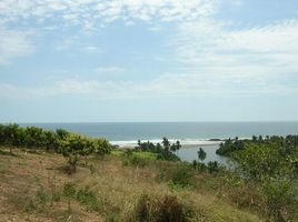  Terreno (Parcela) en venta en La Union, Guerrero, La Union
