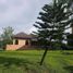  Land for sale in Las Pinas City, Metro Manila, Las Pinas City