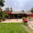 在秘鲁出售的 屋, Chaclacayo, Lima, Lima, 秘鲁