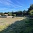  Terreno (Parcela) en venta en Valparaíso, Algarrobo, San Antonio, Valparaíso