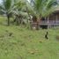  Land for sale in Loay, Central Visayas, Loay