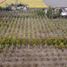  Terreno (Parcela) en venta en Chile, Rinconada, Los Andes, Valparaíso, Chile