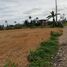  Land for sale in Argao, Cebu, Argao