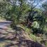  Land for sale in Charo, Michoacan, Charo