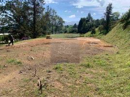  Terreno (Parcela) en venta en La Ceja, Antioquia, La Ceja