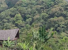  Grundstück zu verkaufen in Tabanan, Bali, Baturiti, Tabanan