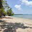  Land for sale in Aborlan, Mimaropa, Aborlan