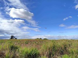  Land for sale in Porac, Pampanga, Porac