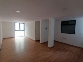 2 Habitación Apartamento en alquiler en Miguel Hidalgo, Ciudad de México, Miguel Hidalgo, Ciudad de México