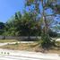  Terreno (Parcela) en venta en San Juan, Calabarzon, San Juan