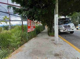 在Coatepec, Veracruz出售的 土地, Coatepec