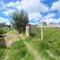  Terreno (Parcela) en venta en Sinincay, Cuenca, Sinincay