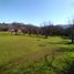  Land for sale in Chile, Curacavi, Melipilla, Santiago, Chile