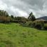  Grundstück zu verkaufen in Villa De Leyva, Boyaca, Villa De Leyva