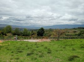  Grundstück zu verkaufen in Villa De Leyva, Boyaca, Villa De Leyva