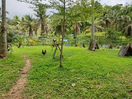  Land for sale in Central Visayas, Cebu City, Cebu, Central Visayas