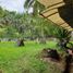  Land for sale in Central Visayas, Cebu City, Cebu, Central Visayas