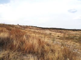 Terrain à vendre à Irapuato, Guanajuato, Irapuato