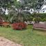  Land for sale in Imperial, Lima, Imperial