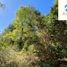  Terreno (Parcela) en venta en Araucanía, Pucón, Cautín, Araucanía