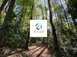  Terreno (Parcela) en venta en Araucanía, Pucón, Cautín, Araucanía