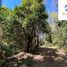  Terreno (Parcela) en venta en Araucanía, Pucón, Cautín, Araucanía