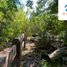  Terreno (Parcela) en venta en Araucanía, Pucón, Cautín, Araucanía