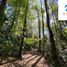  Terreno (Parcela) en venta en Araucanía, Pucón, Cautín, Araucanía