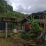  House for sale in Tulua, Valle Del Cauca, Tulua