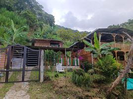  House for sale in Tulua, Valle Del Cauca, Tulua