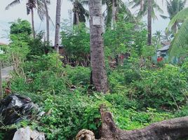  Land for sale in Compostela, Cebu, Compostela