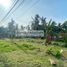  Land for rent in Panglao, Central Visayas, Panglao, Bohol