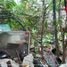  Terreno (Parcela) en venta en Quezon City, Metro Manila, Quezon City, Eastern District, Metro Manila